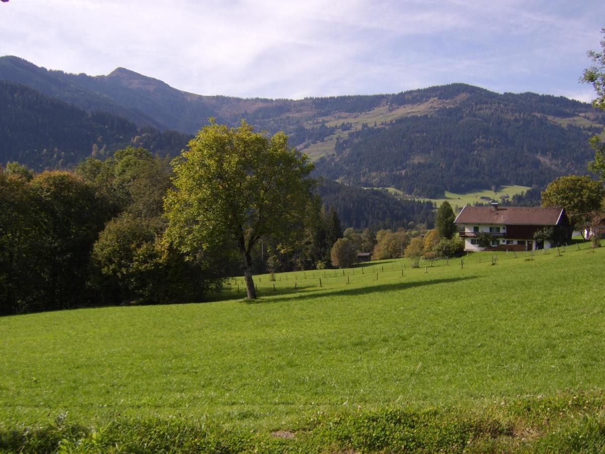 Schrandl Apartment Penningberg Hopfgarten im Brixental Exterior foto